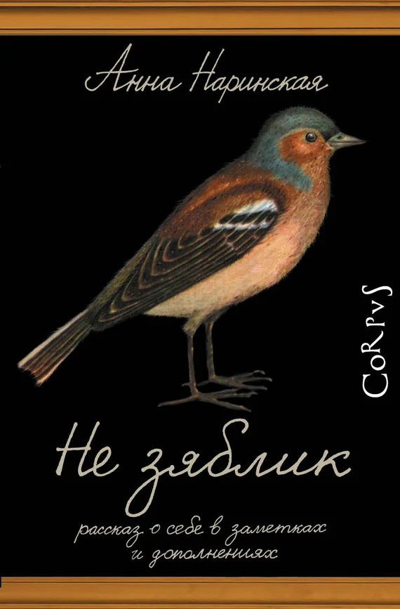 Обложка Не зяблик