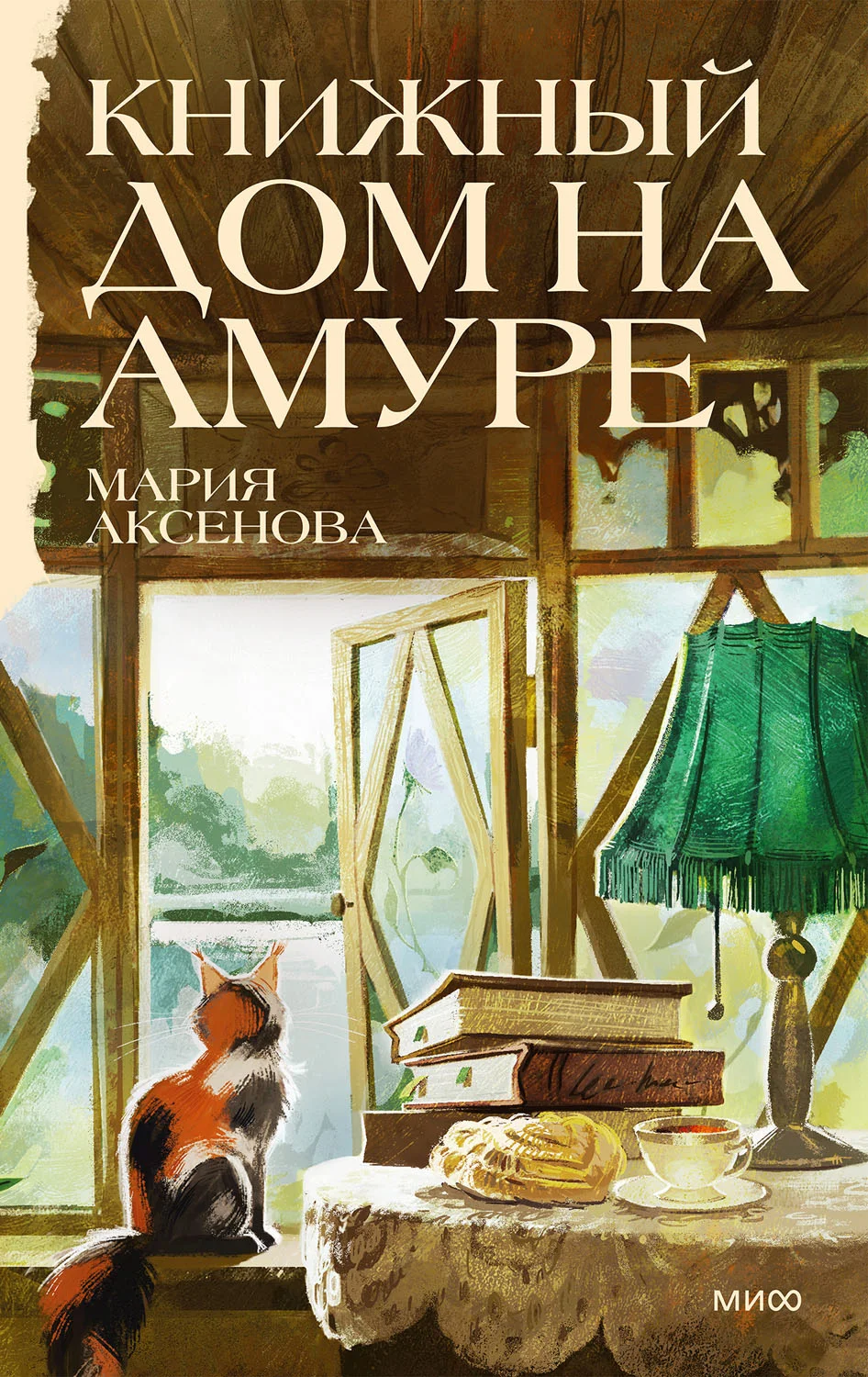 Обложка Книжный дом на Амуре