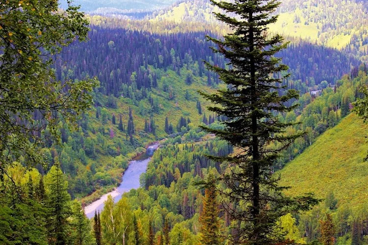 Обложка Третья книга. Пришельцы из неизвестно откуда в известно когда. Первая часть. Аврал и Размах