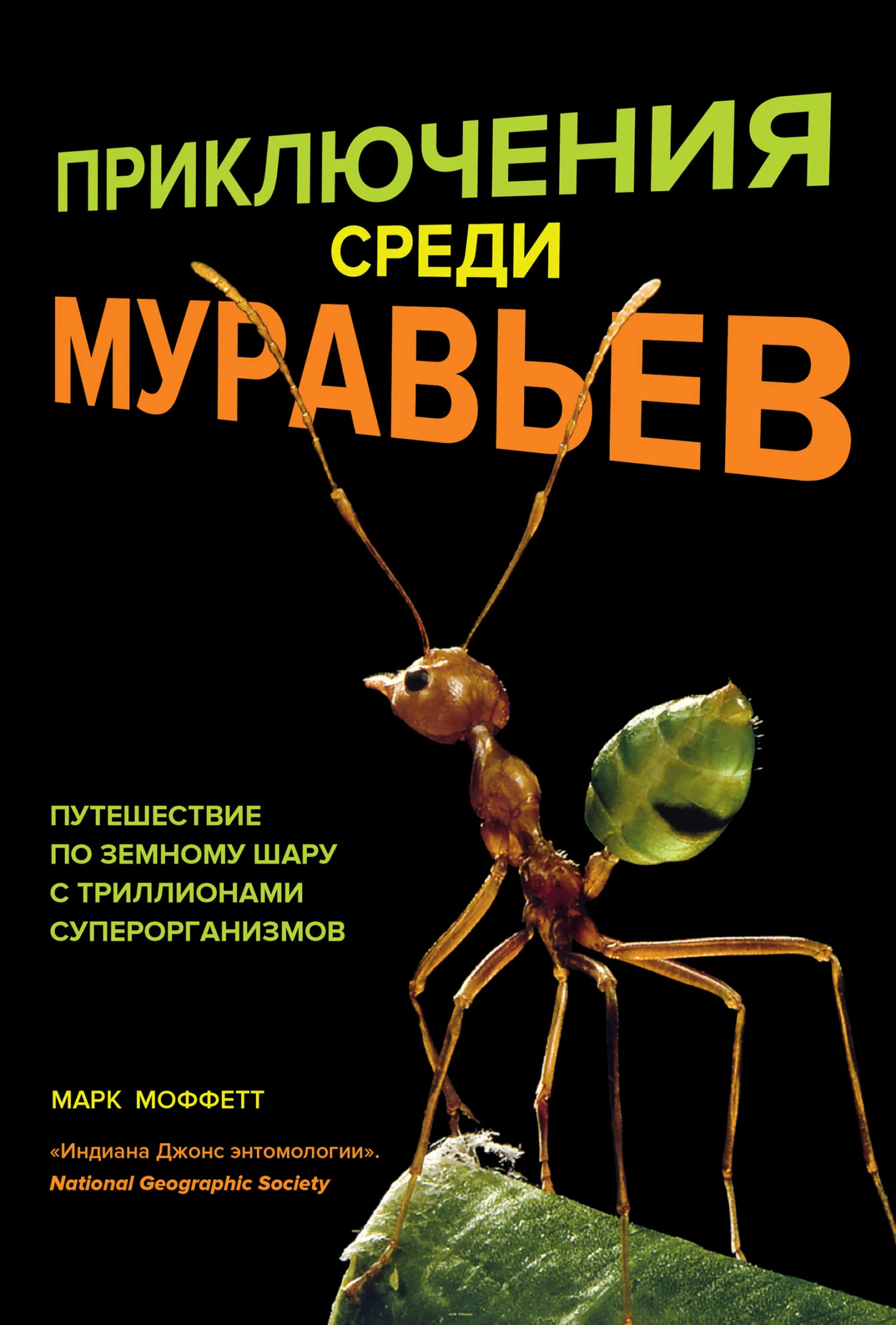 Обложка Приключения среди муравьев. Путешествие по земному шару с триллионами суперорганизмов