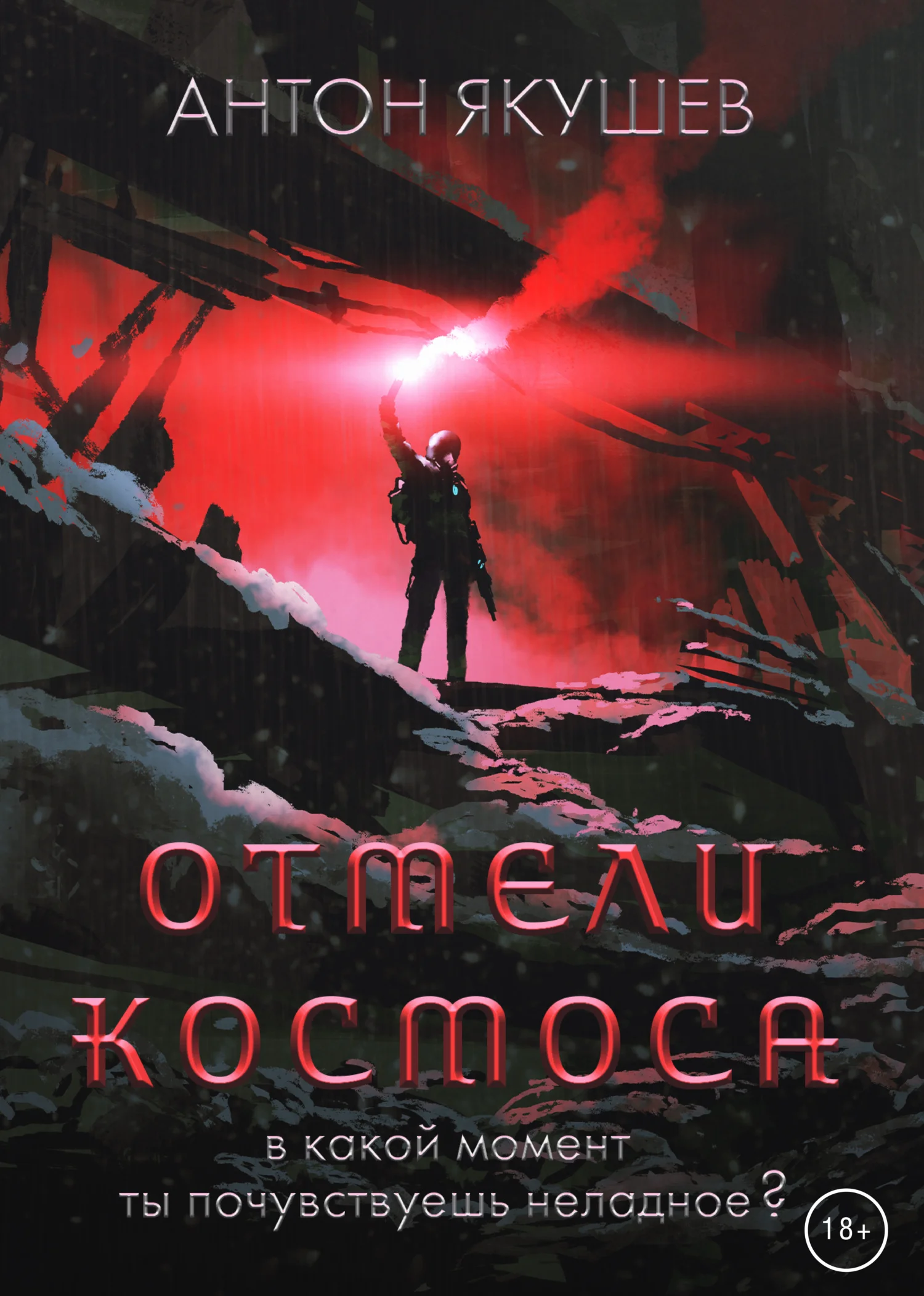 Обложка Отмели космоса