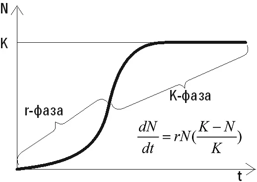 Обложка Цифровой журнал «Компьютерра» № 119