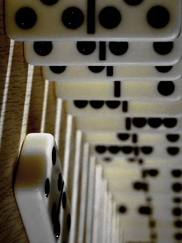 Обложка Жалкий жребий реформ