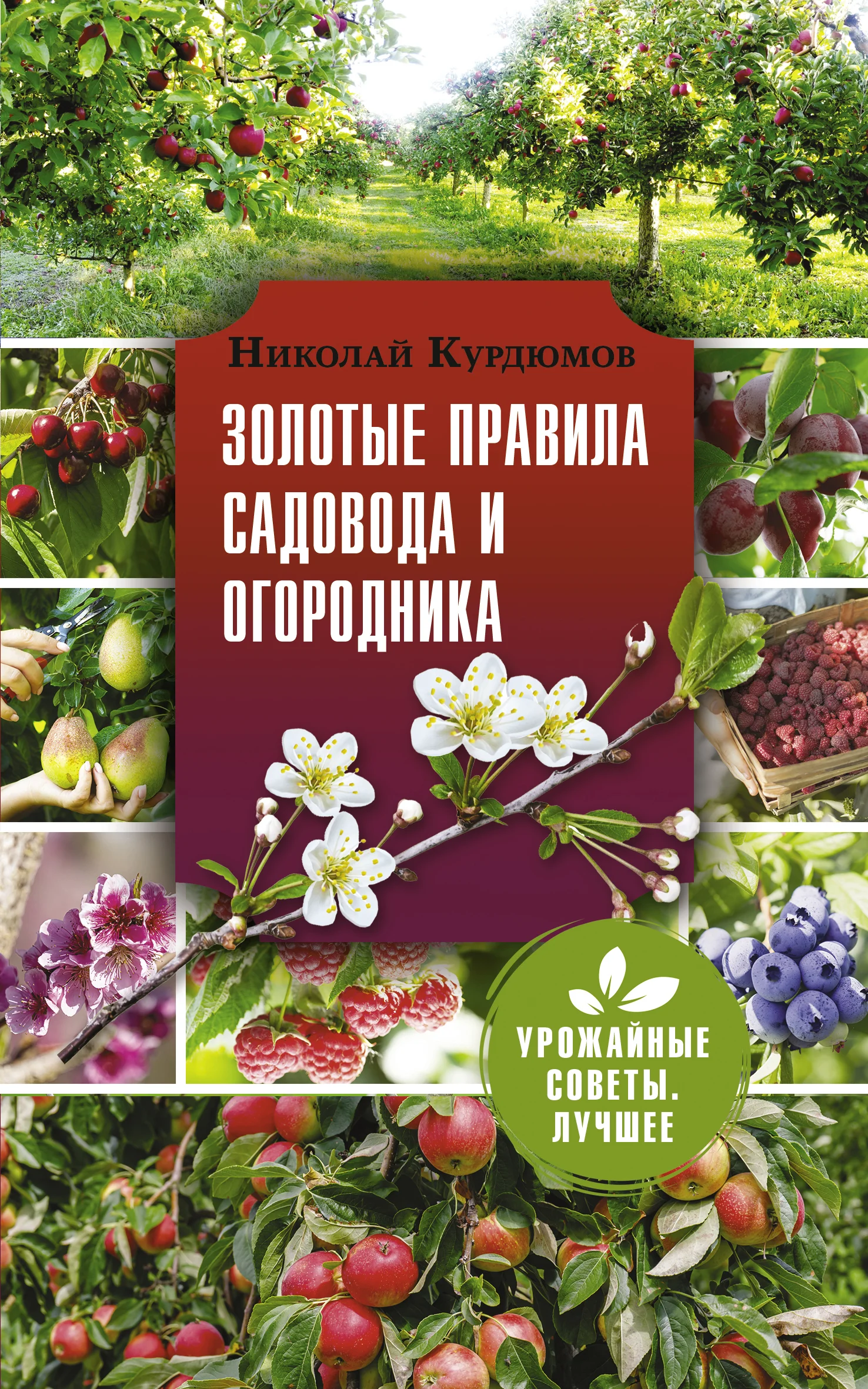 Обложка Золотые правила садовода и огородника. 7 секретов большого урожая