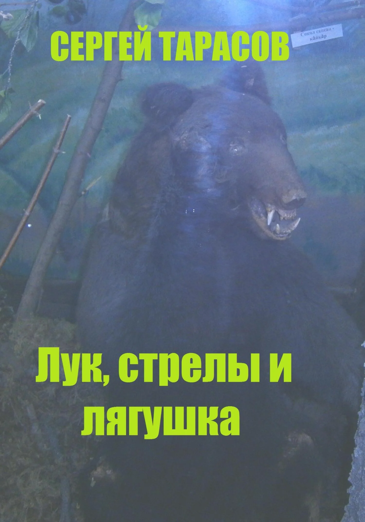 Обложка Лук, стрелы и лягушка