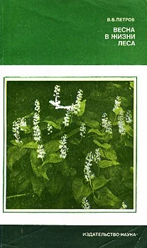 Обложка Весна в жизни леса