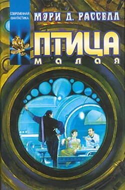 Обложка Птица малая