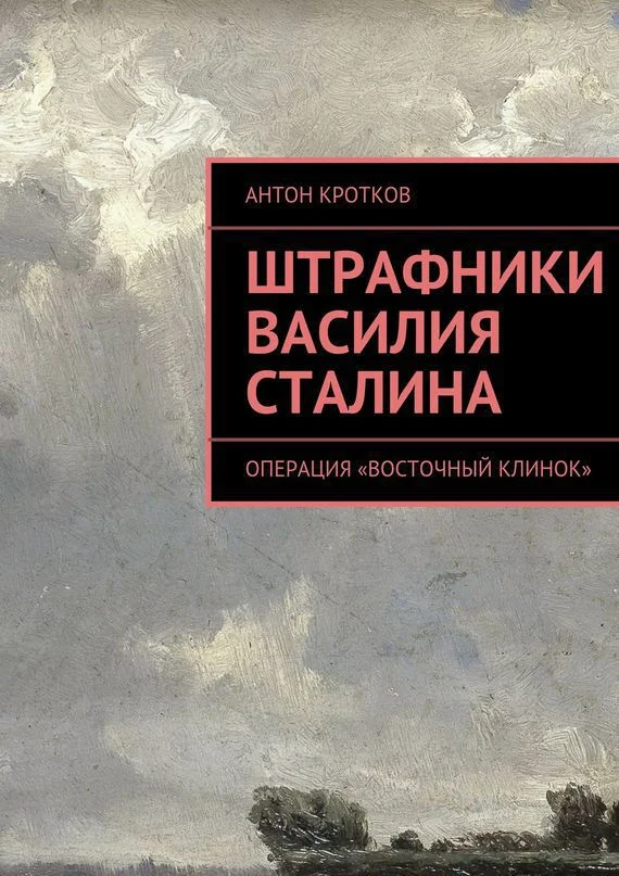 Обложка Штрафники Василия Сталина