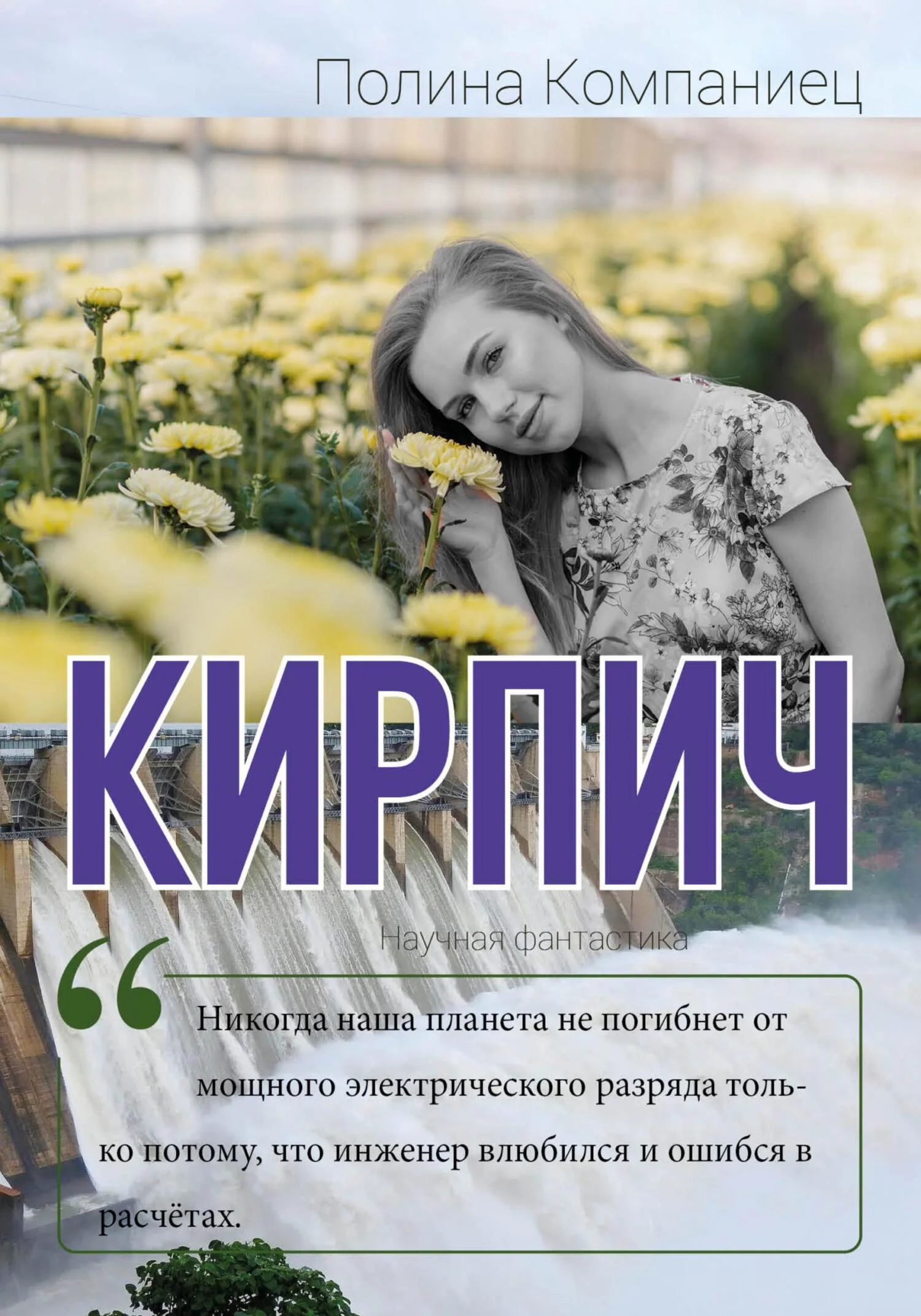 Обложка Кирпич