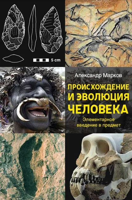 Обложка Происхождение и эволюция человека