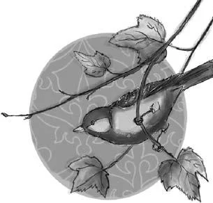 Обложка Над Вугерай — дождж