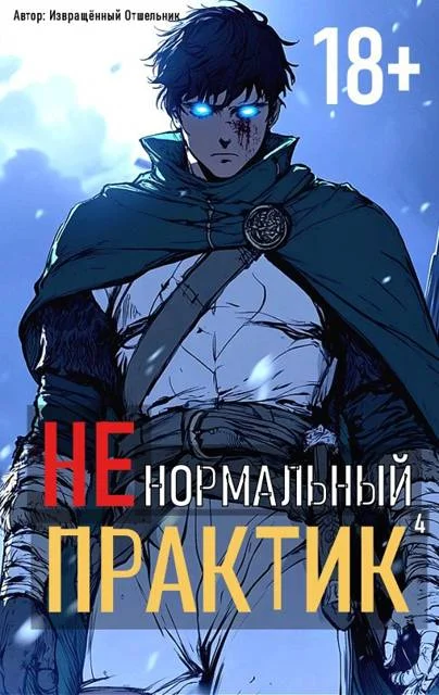 Обложка Ненормальный практик 4