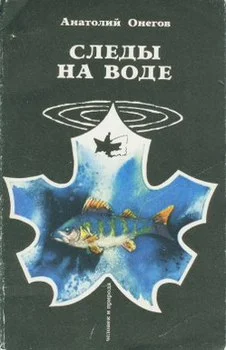 Обложка Вода, настоянная на чернике