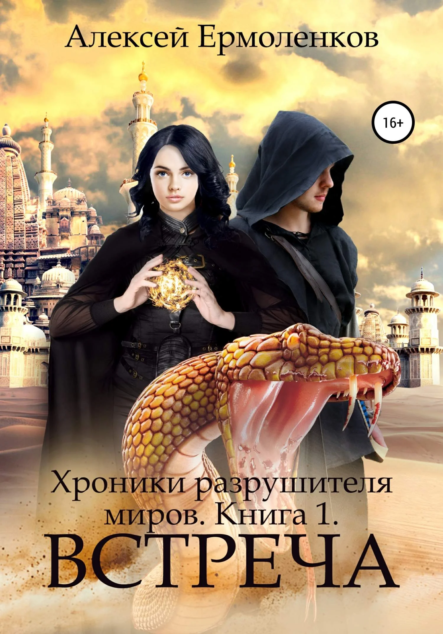 Обложка Встреча