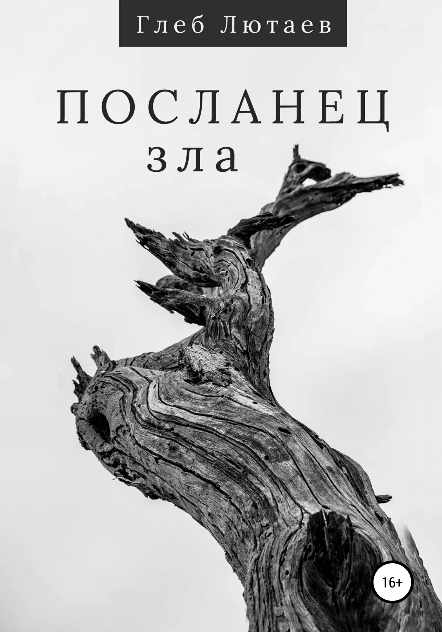 Обложка Посланец Зла