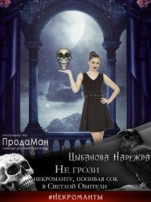 Обложка Не грози некроманту, попивая сок в Светлой Обители