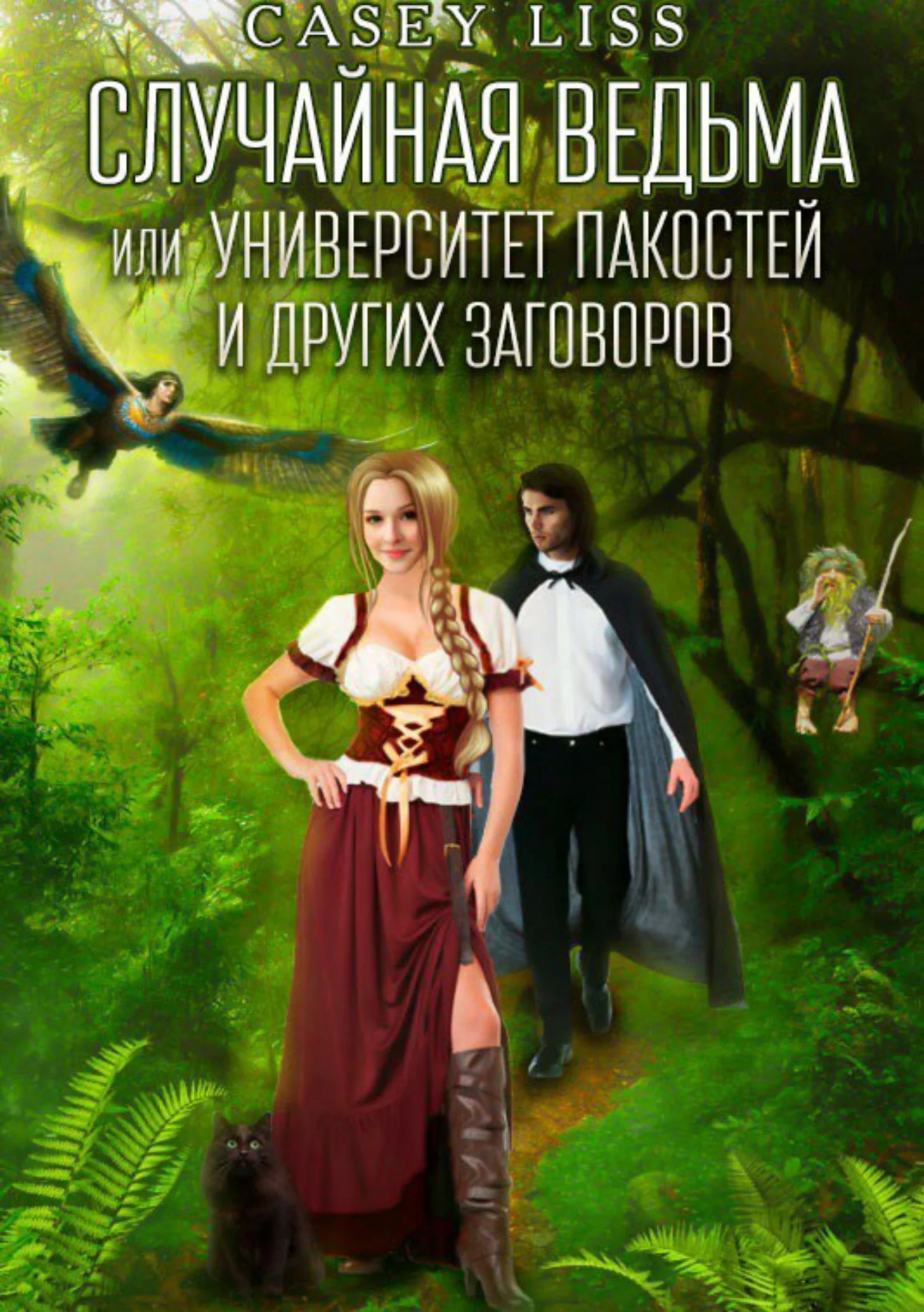 Обложка Случайная ведьма или Университет Заговоров и других Пакостей