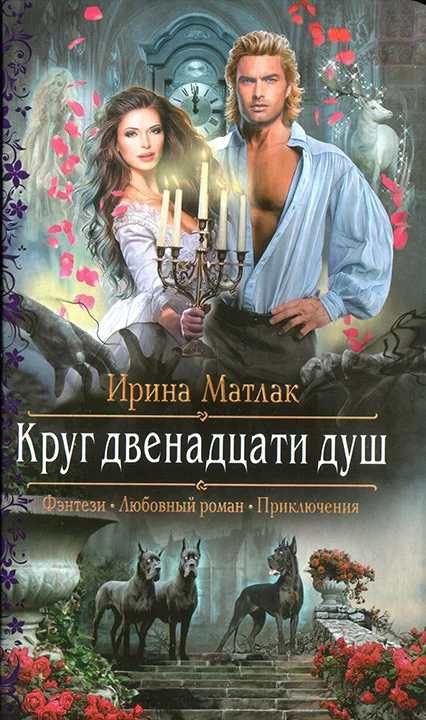 Обложка Круг двенадцати душ
