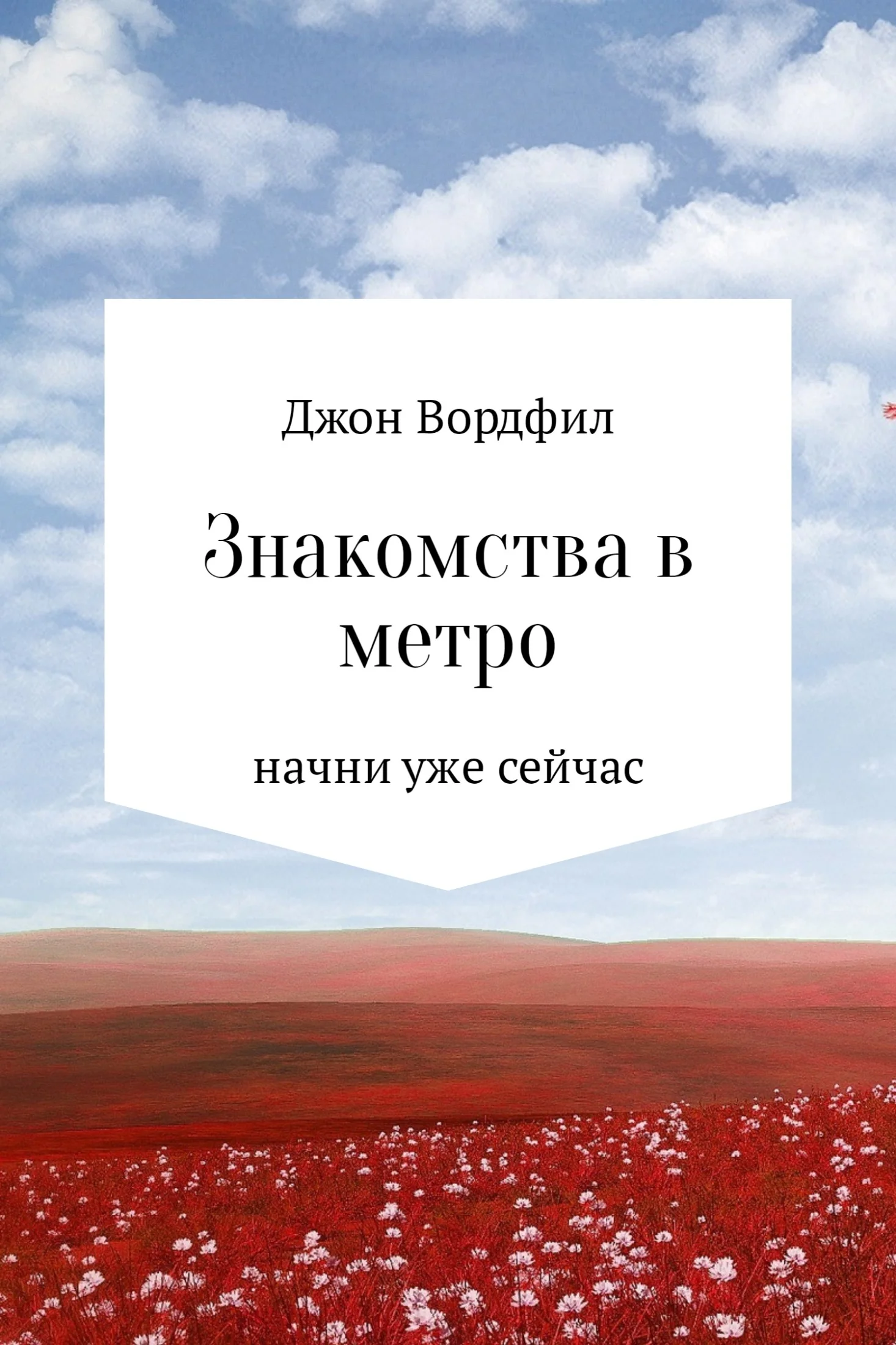 Обложка Знакомства в Метро