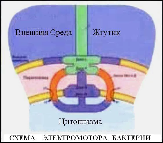 Обложка Обновление от 30 августа 2003 года