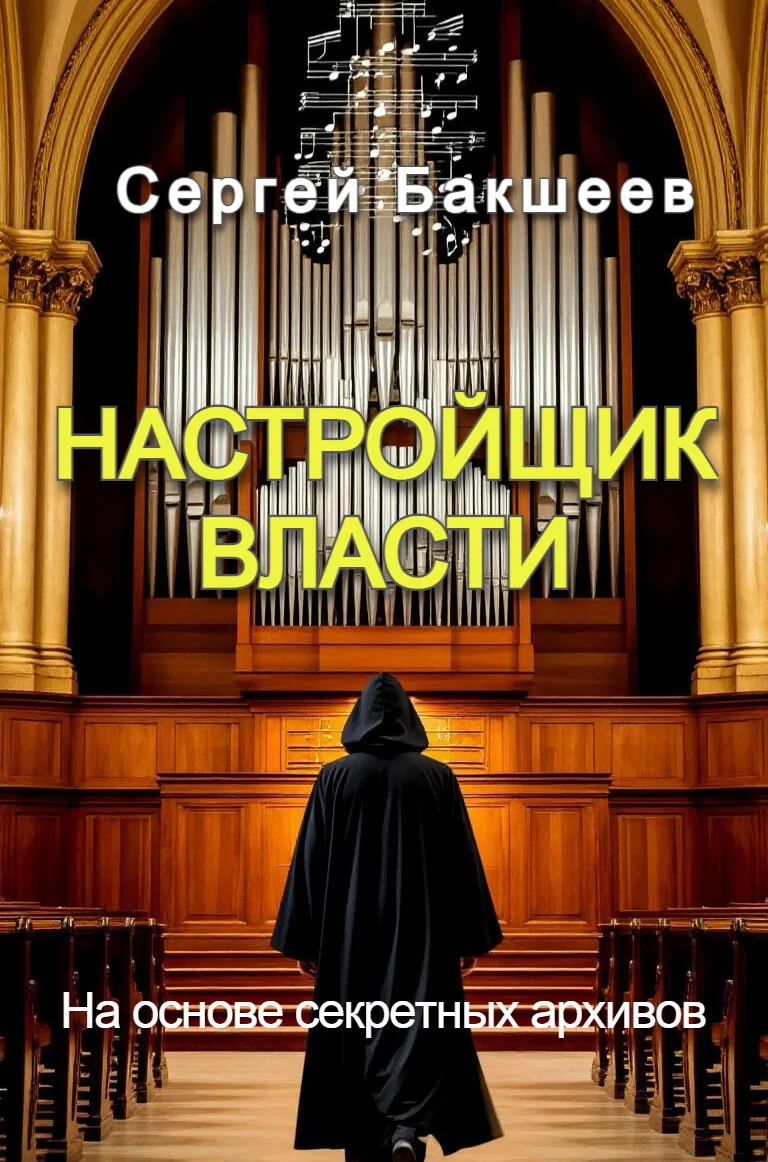 Обложка Настройщик власти