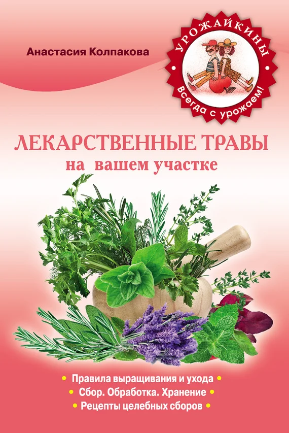 Обложка Лекарственные травы вашем на участке