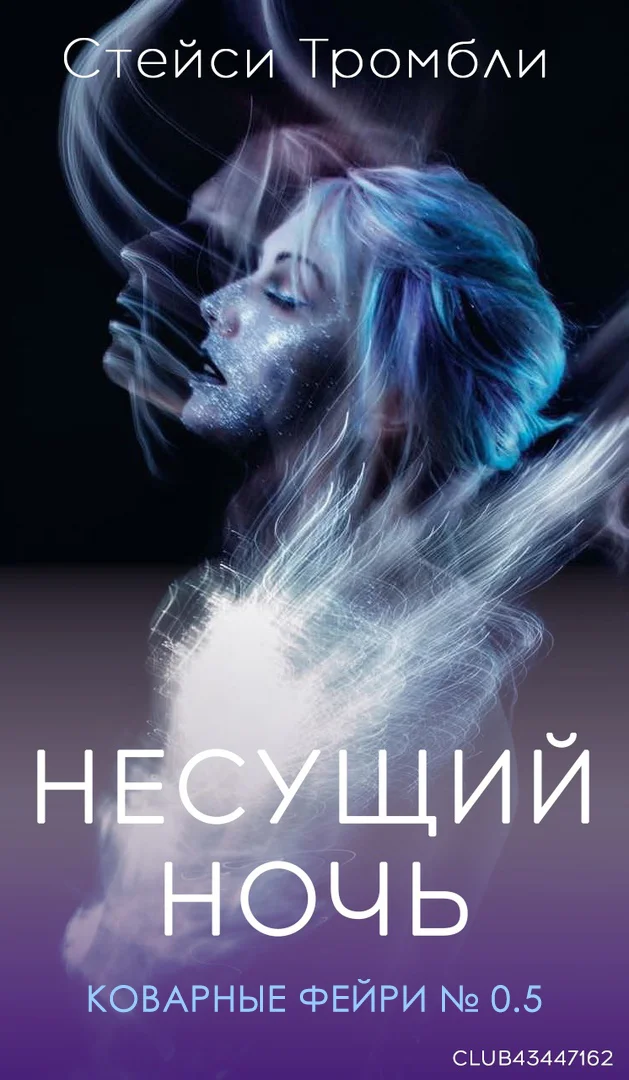 Обложка Несущий Ночь