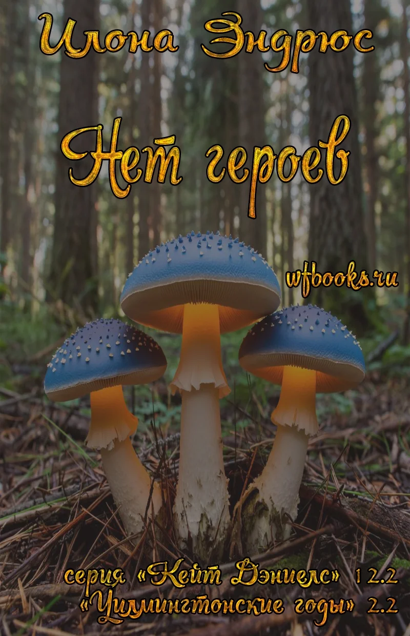 Обложка Нет героев