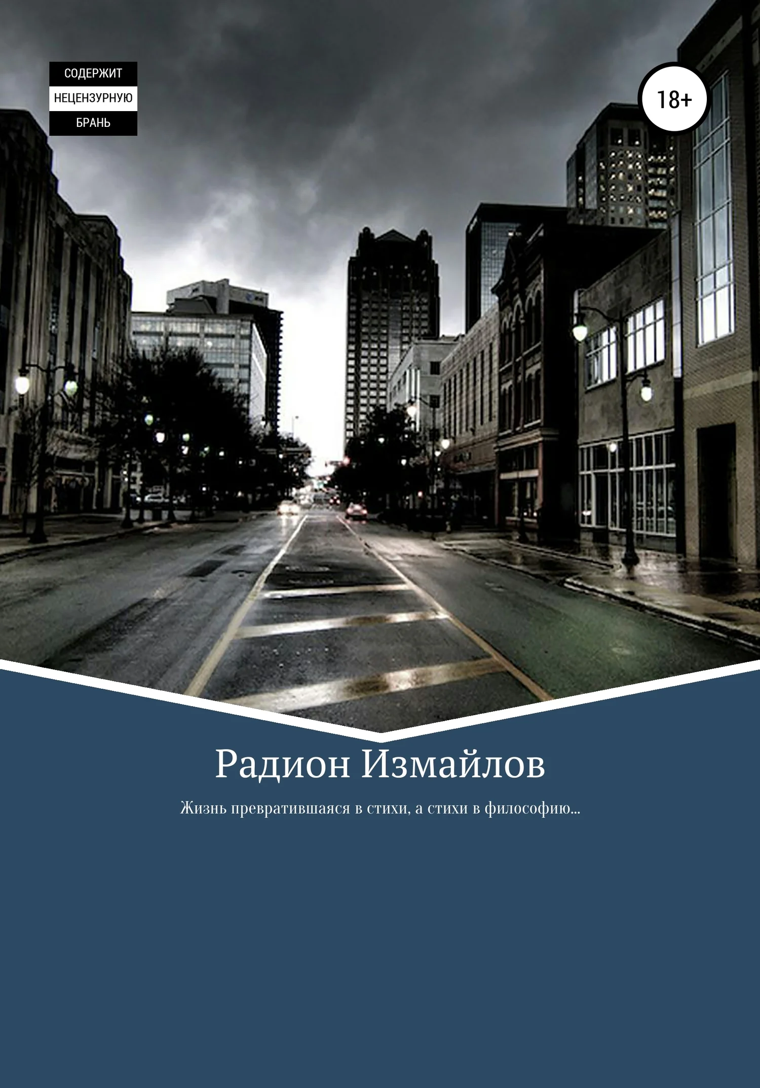 Обложка Жизнь превратившаяся в стихи, а стихи в философию…