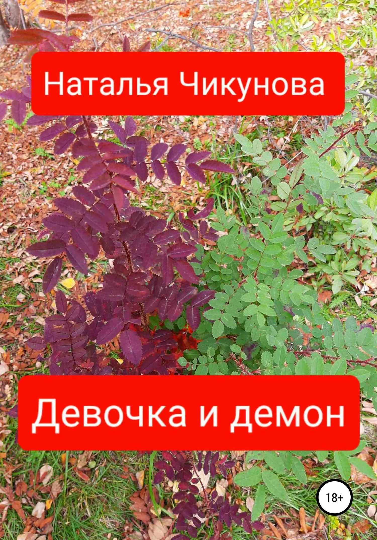 Обложка Девочка и демон