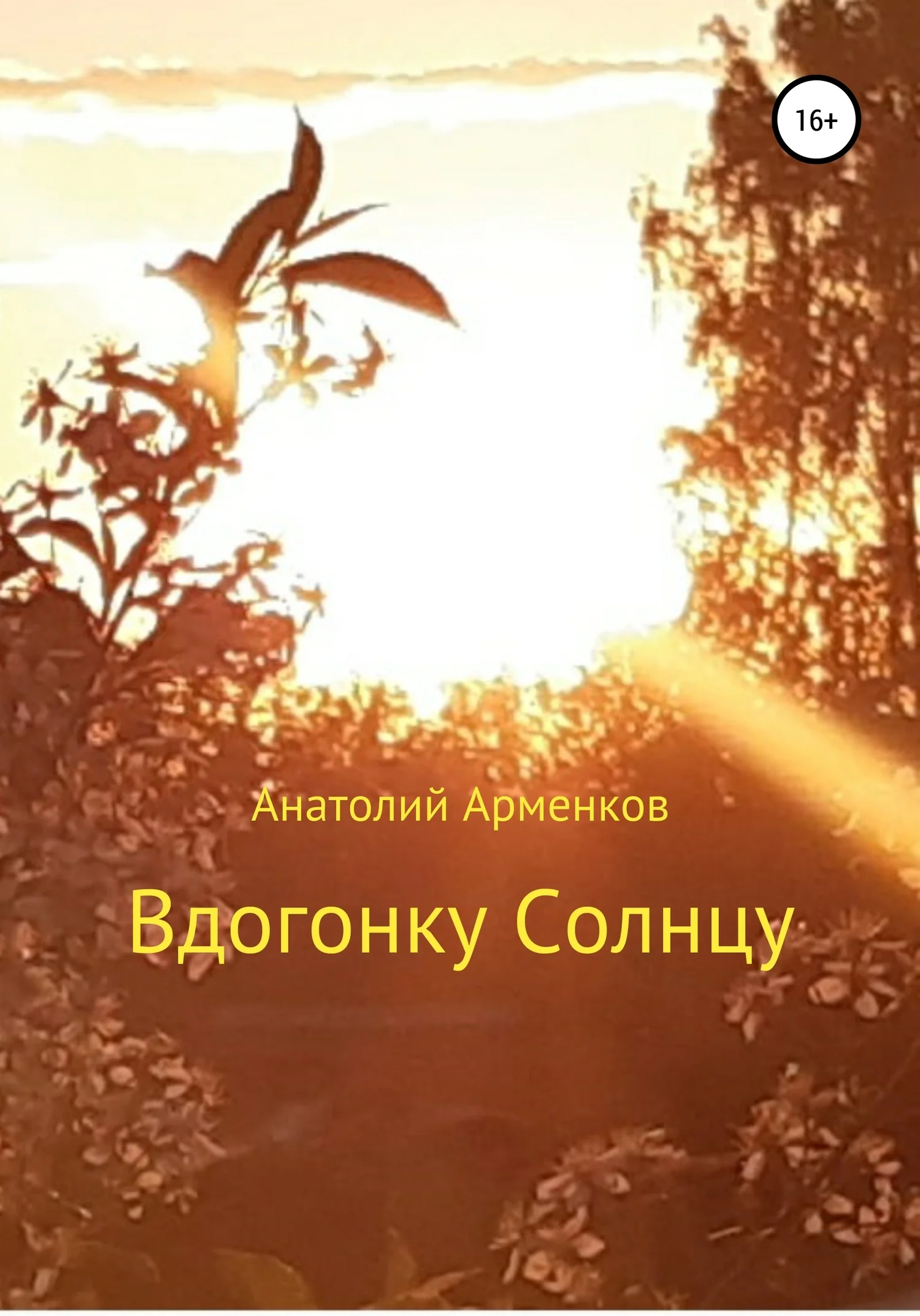 Обложка Вдогонку Солнцу