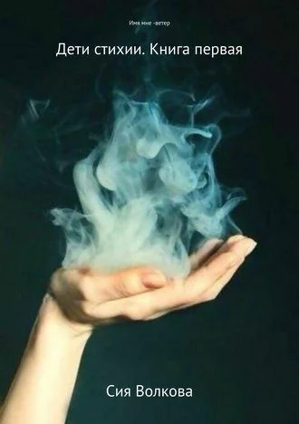 Обложка Имя мне - ветер