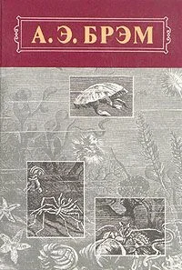 Обложка Жизнь животных, Том III, Пресмыкающиеся. Земноводные. Рыбы
