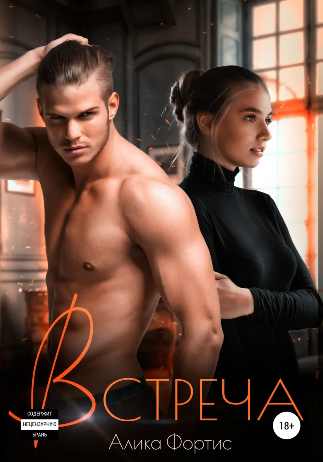 Обложка Встреча