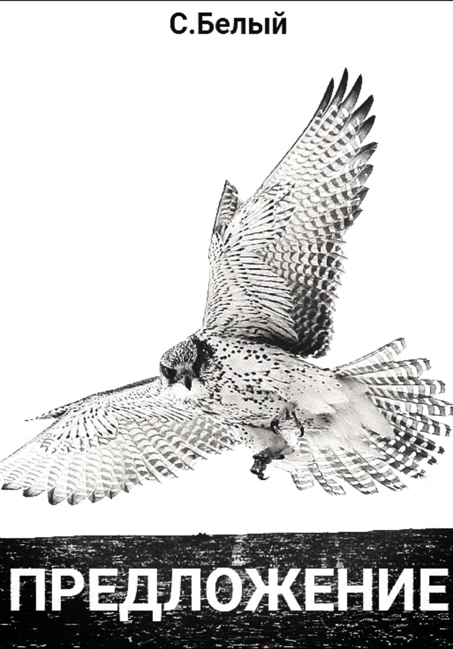 Обложка Предложение