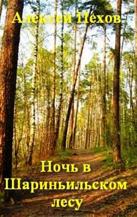 Обложка Ночь в Шариньильском лесу