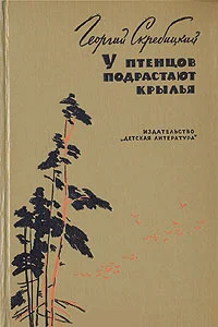 Обложка У птенцов подрастают крылья