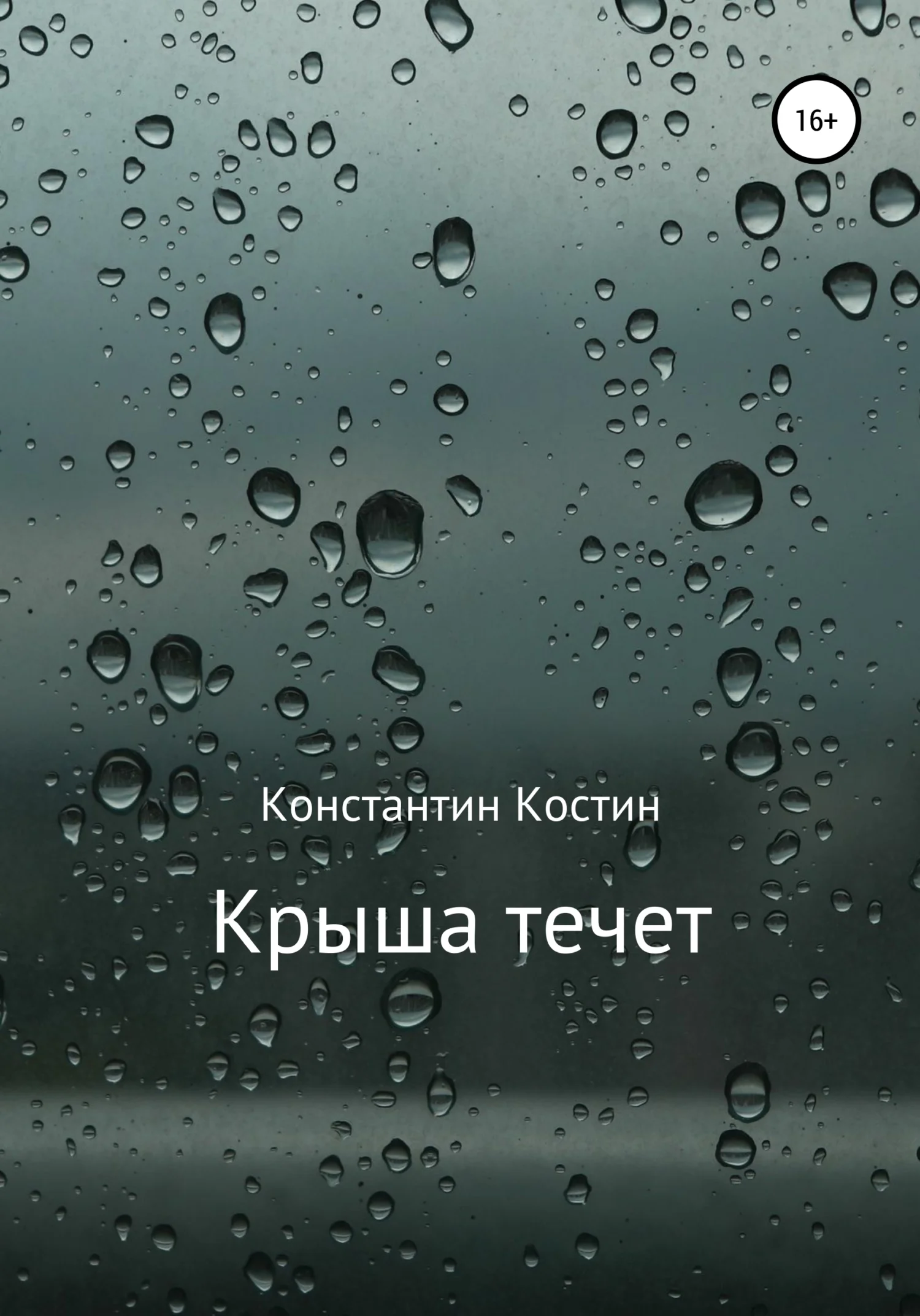 Обложка Крыша течет