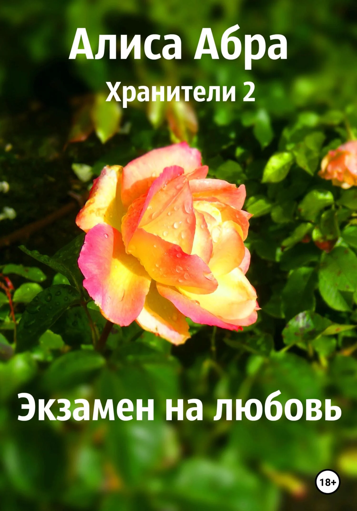 Обложка Экзамен на любовь