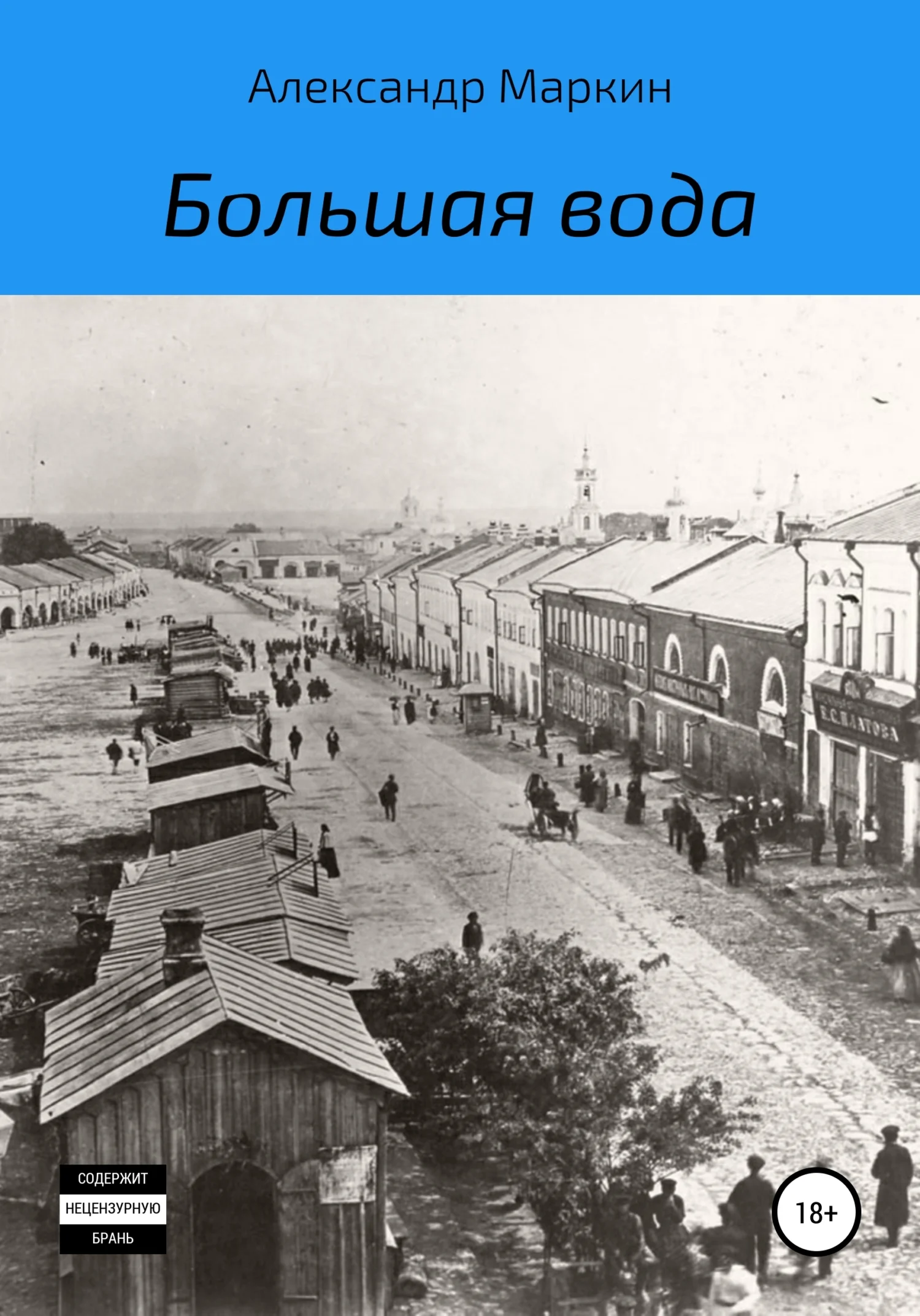 Обложка Большая вода