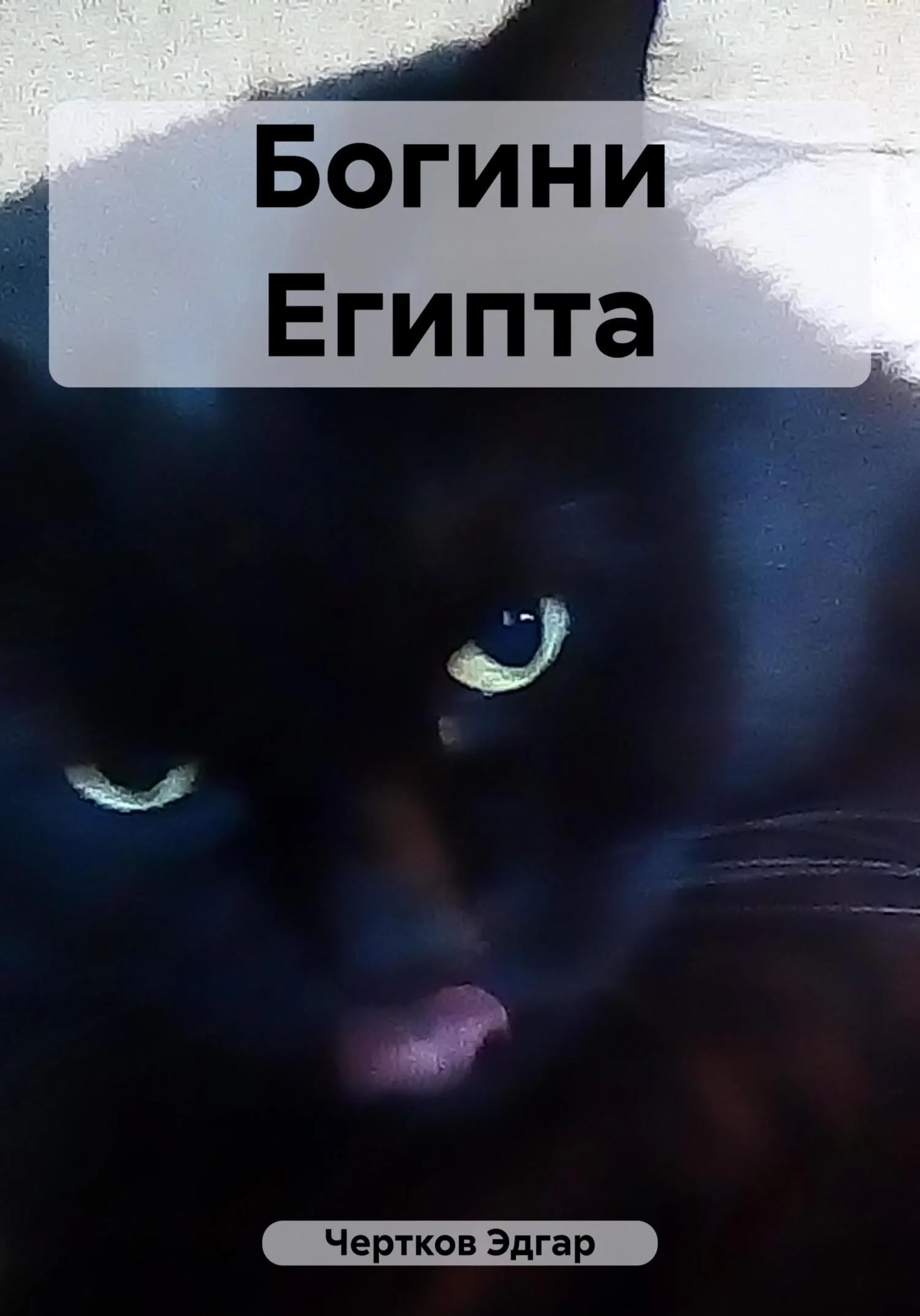 Обложка Богини Египта