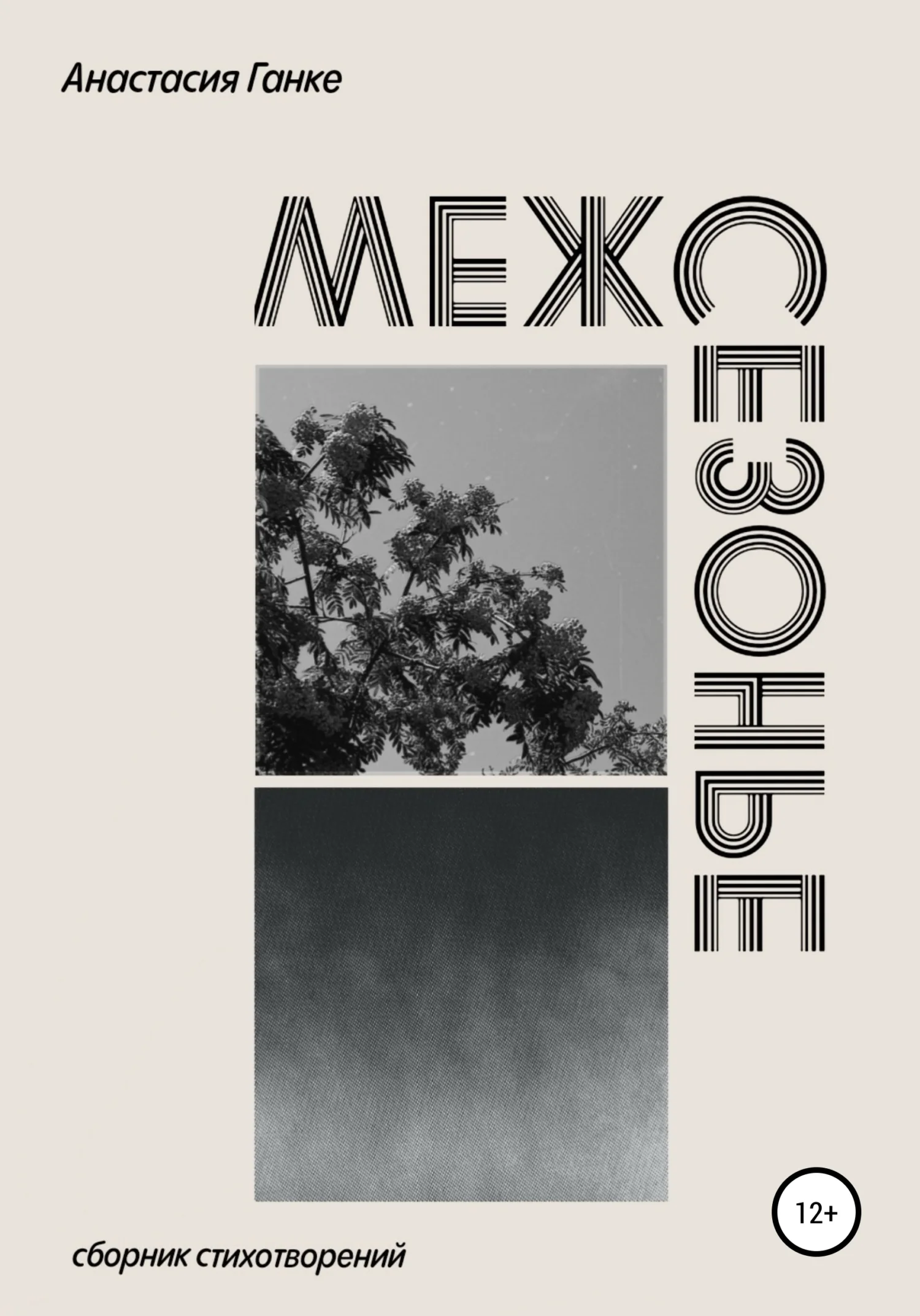 Обложка Межсезонье. Сборник стихотворений