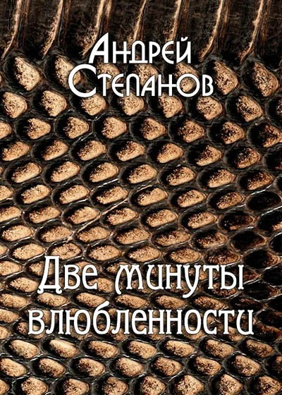 Обложка Две минуты влюбленности