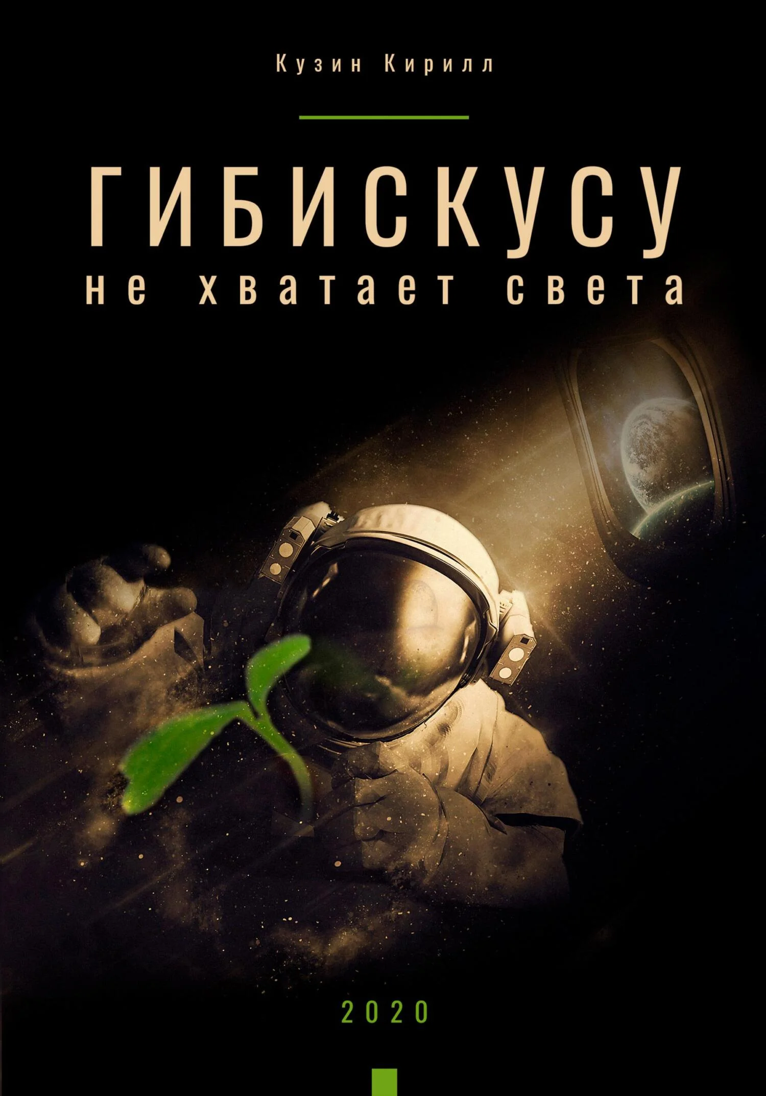 Обложка Гибискусу не хватает света