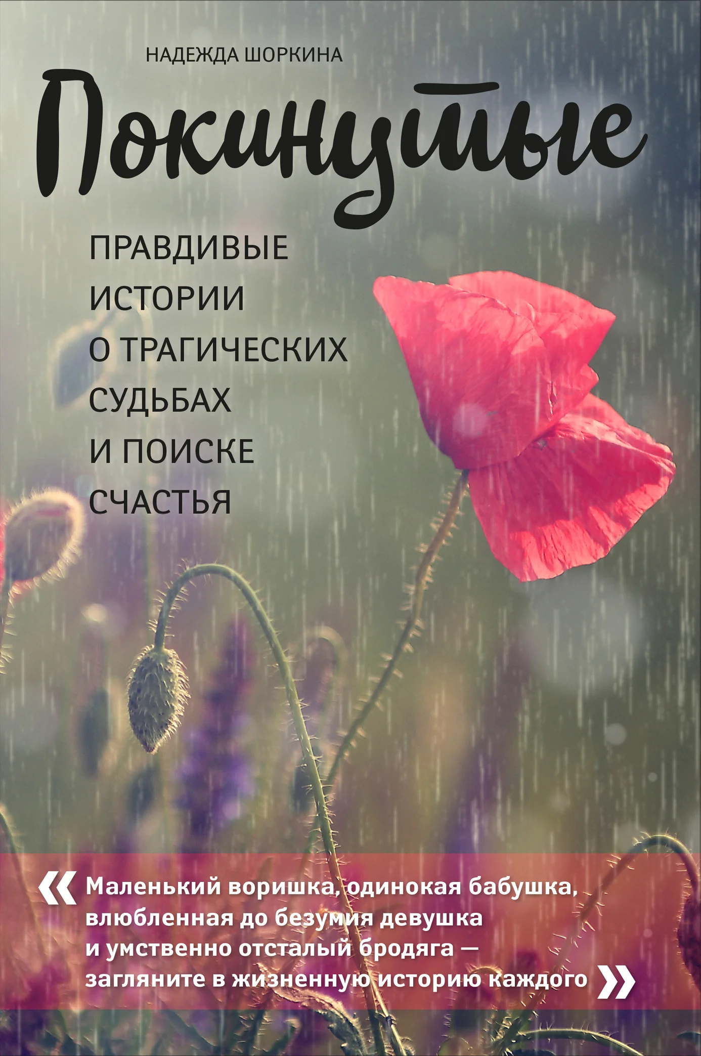 Обложка Покинутые. Правдивые истории о трагических судьбах и поиске счастья