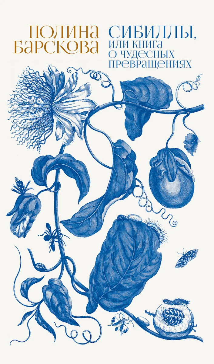 Обложка Сибиллы, или Книга о чудесных превращениях