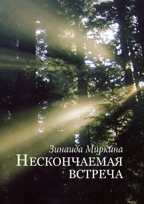 Обложка Нескончаемая встреча
