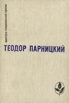 Обложка Серебряные орлы