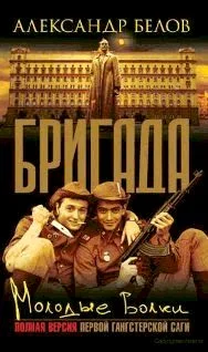 Обложка Молодые волки