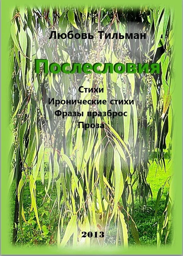 Обложка Послесловия